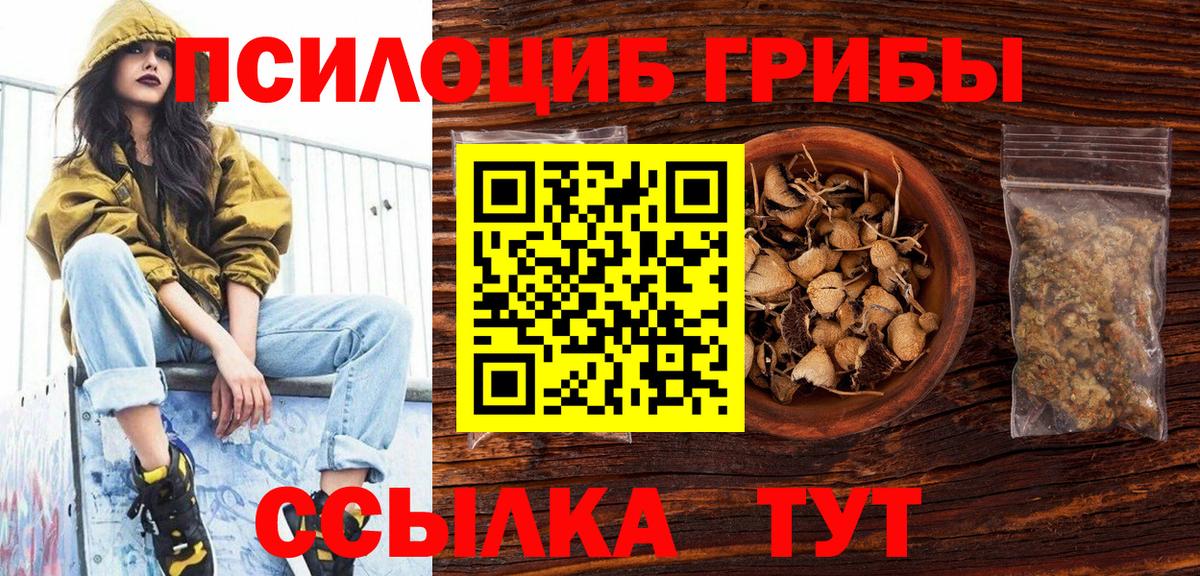 Галлюциногенные грибы Psilocybine cubensis  Вход с VPN  Северск  Галлюциногенные грибы GOLDEN TEACHER 