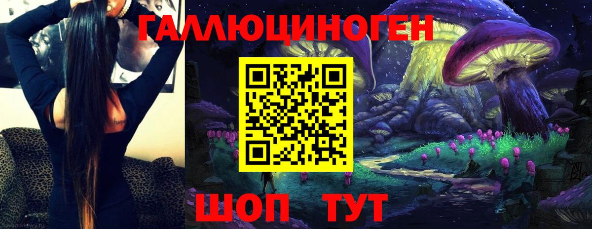 Галлюциногенные грибы Psilocybe Северск